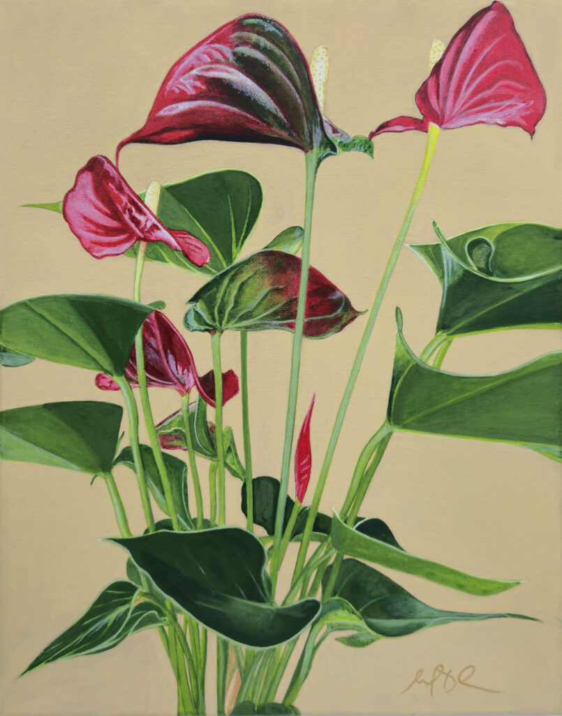 Anthurium