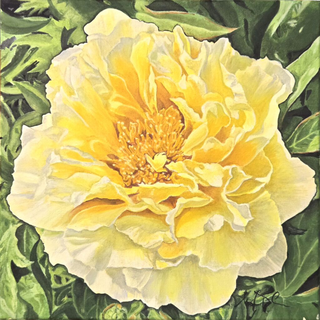 Yellow Peony