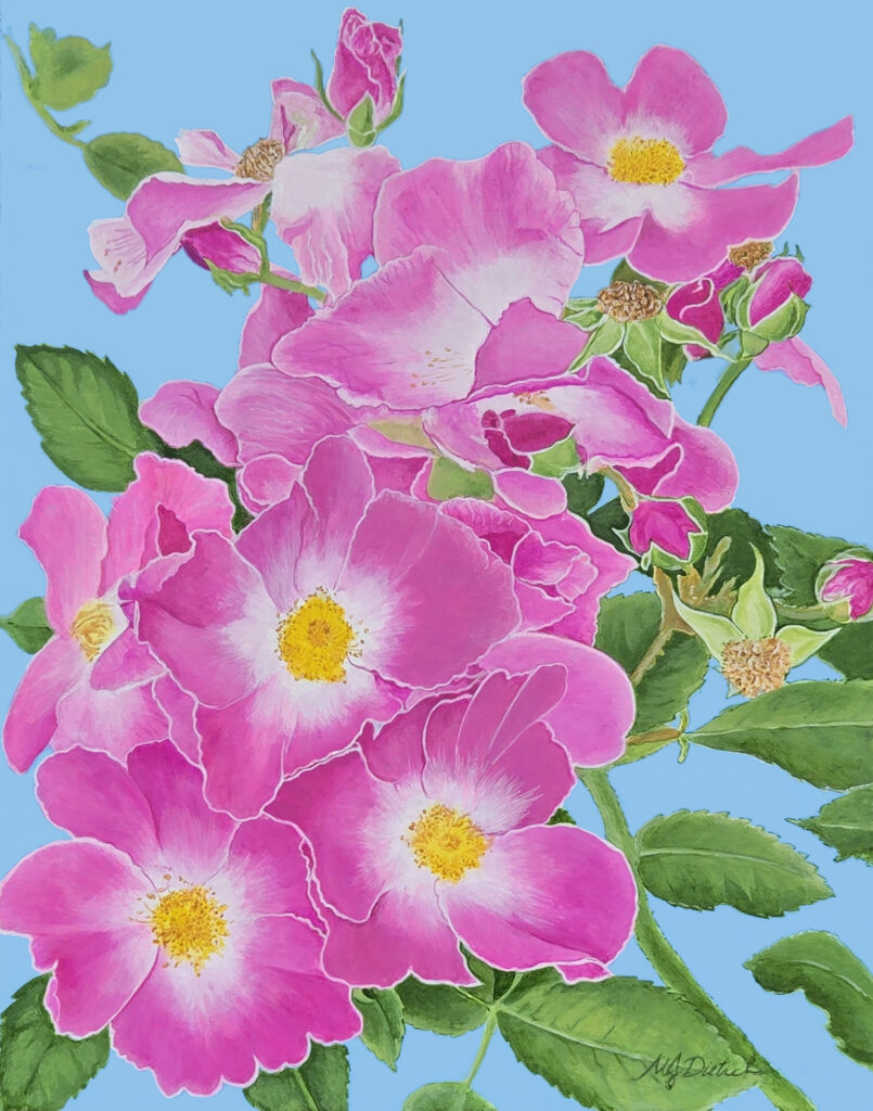 Beach roses, acrylic on linen